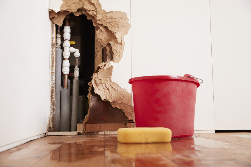 What to Do During a Plumbing Emergency