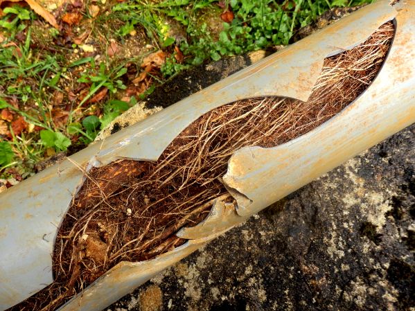 What to Do When Your Sewer Pipes Collapse