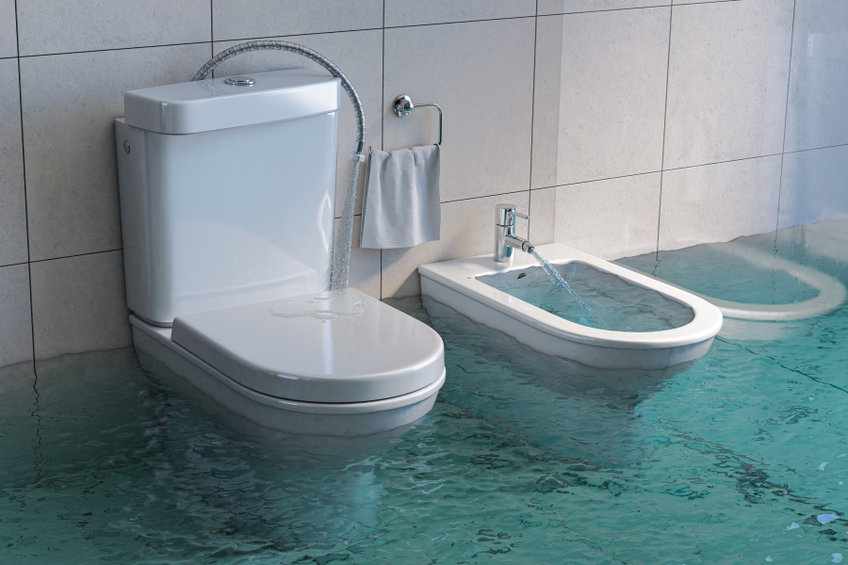 What Causes Toilet Overflow?