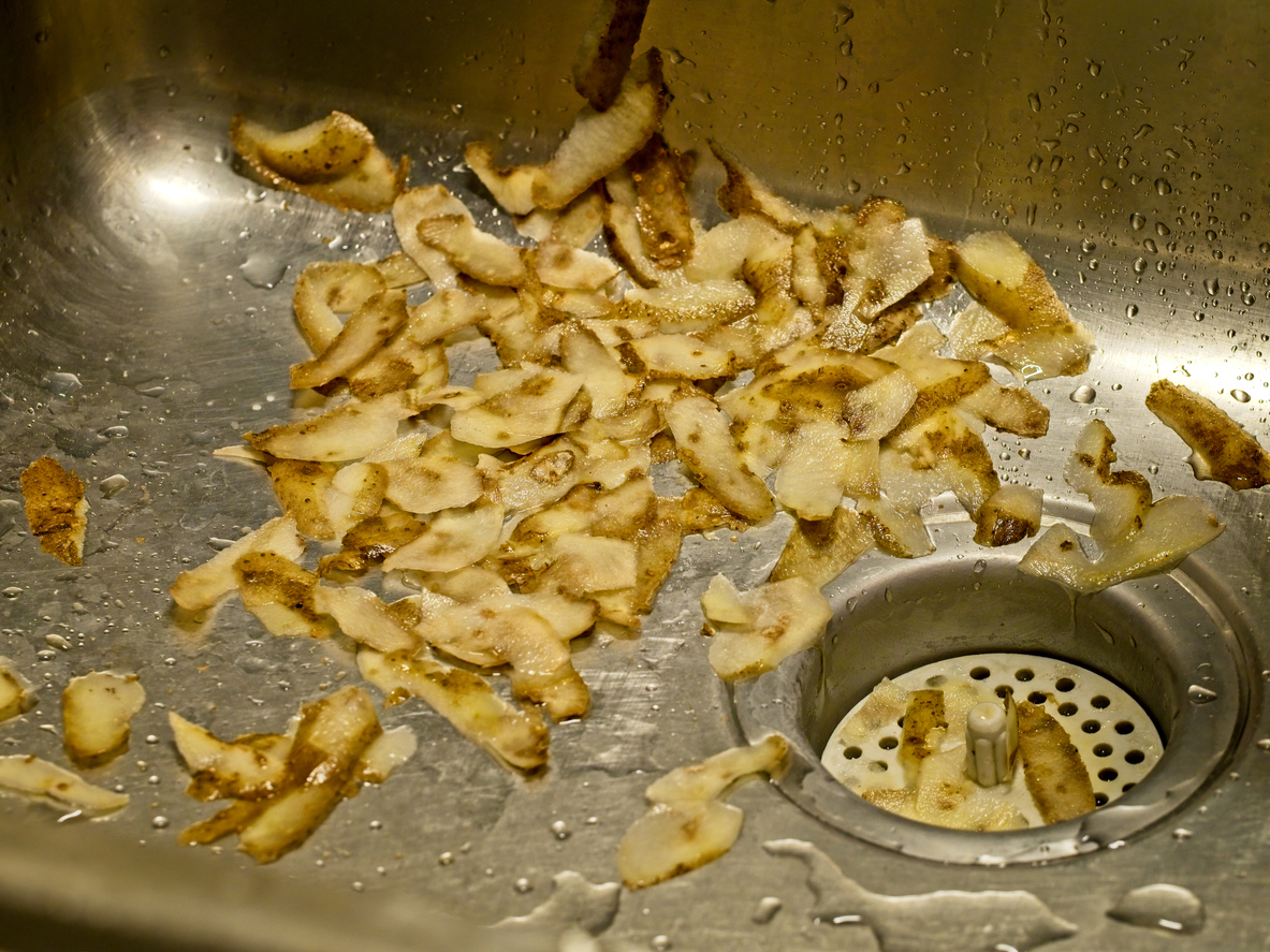 Clogged Garbage Disposal