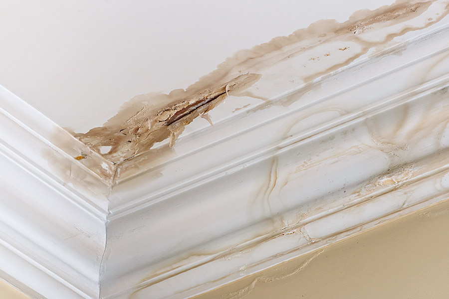 Benefits of Working with Zippity Split Plumbing