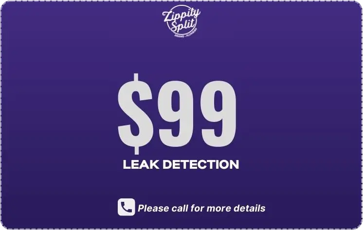 $99 Leak Detection