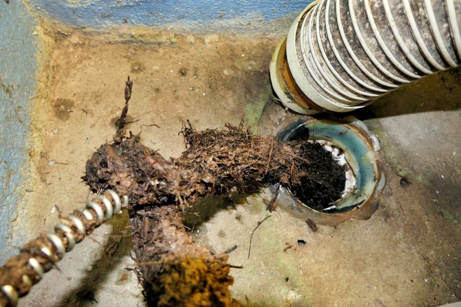 Clogged sewer pipe.